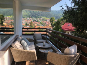 Grandview City Brasov